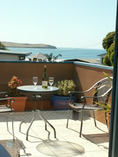 Luxury kitchen fully equipped with oven, microwave, family size fridge, glass cooktop, granite bench tops.